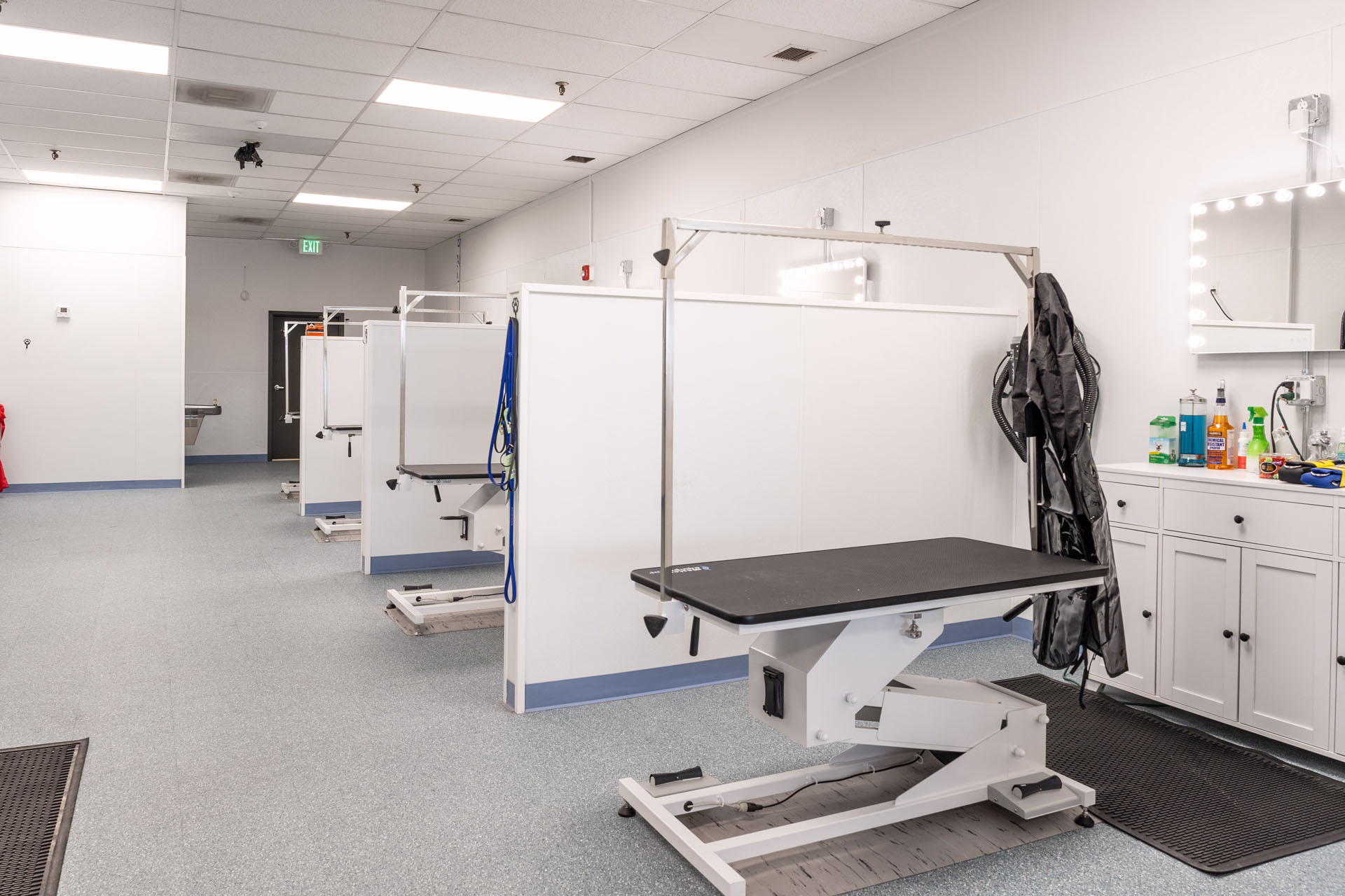 Scruffy's Soggy Dog Salon